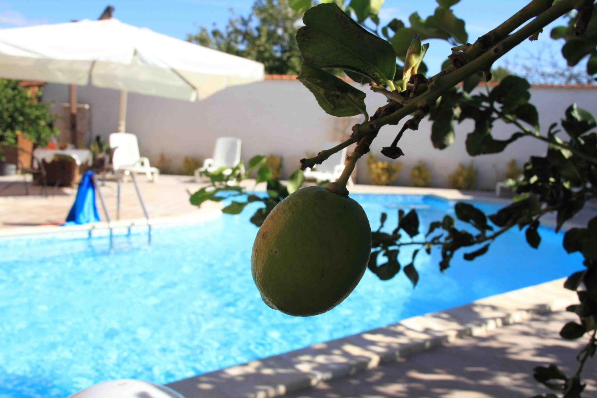 Il Quadrifoglio Bed & Breakfast ตราปานี ภายนอก รูปภาพ